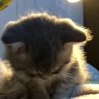 😕