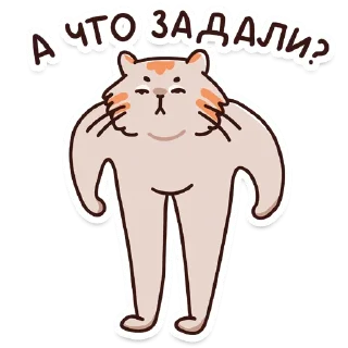 💪