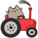 🐱