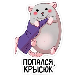 🐀