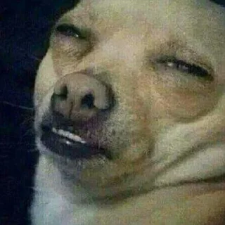 😑