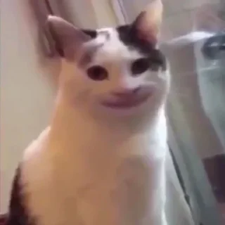 😕