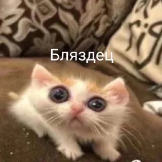 😨