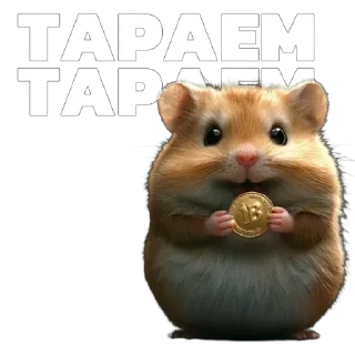 🐹