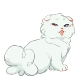 🐱