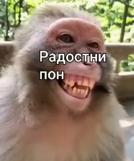😅