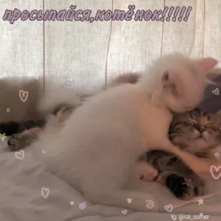 💞