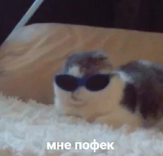 😎