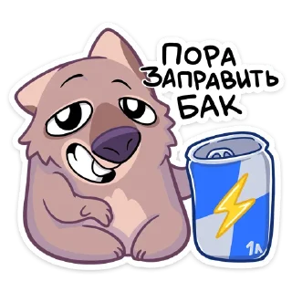 ⚡️