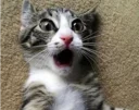 😱