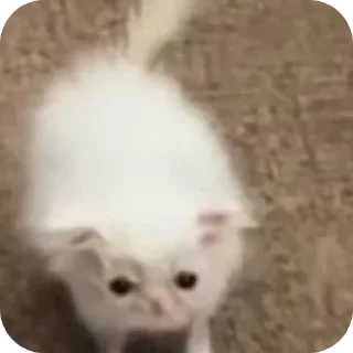 🙂