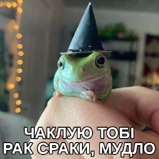 🤥