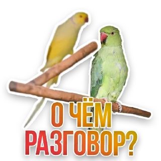 😎