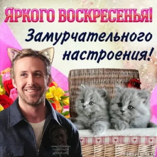 😺