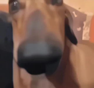 😶