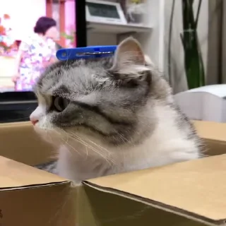 😳