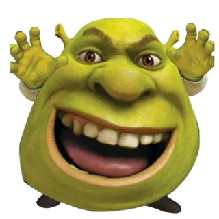 ✋