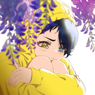 😿