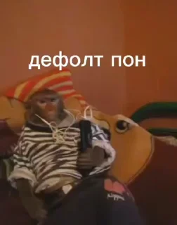 🙉