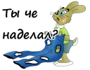 🙀