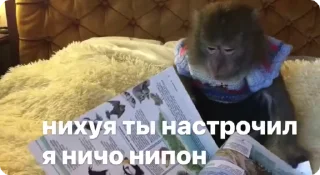 📋