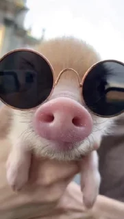 😎