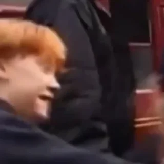 🐍