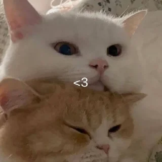 ❤️