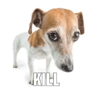 🔫