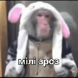 😤