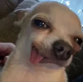 🧊