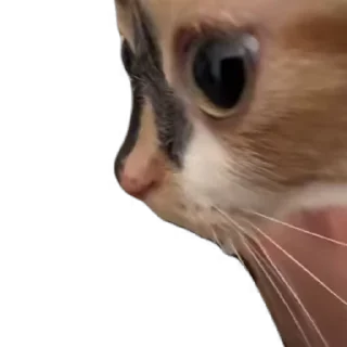 🙃