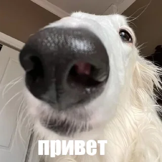 👋