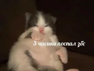 😤