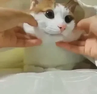 😙