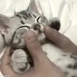 😊
