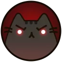 🐱