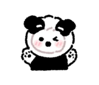 🐼