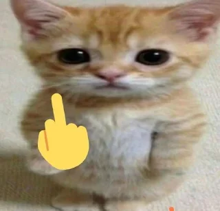🖕