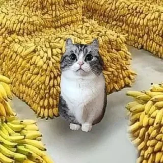🍌