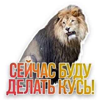 🦁