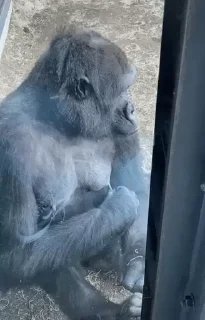 😏