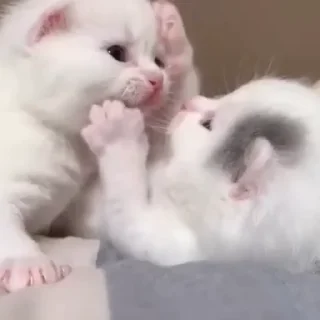 ❤️