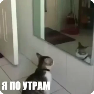 🙃
