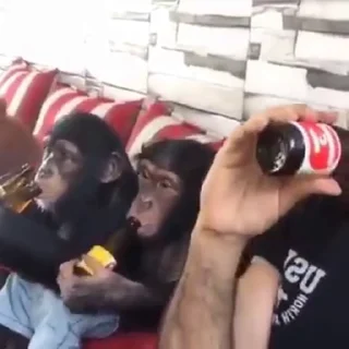 🐵