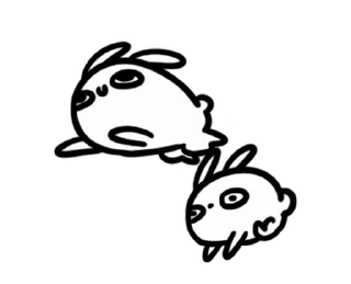 🐰