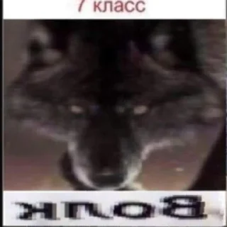 🐺