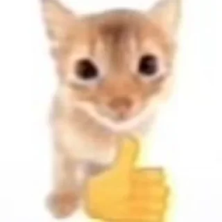 👍