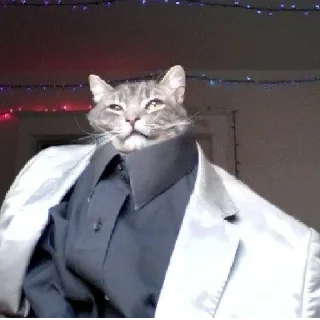😎