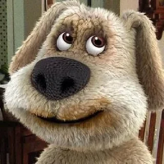 💩